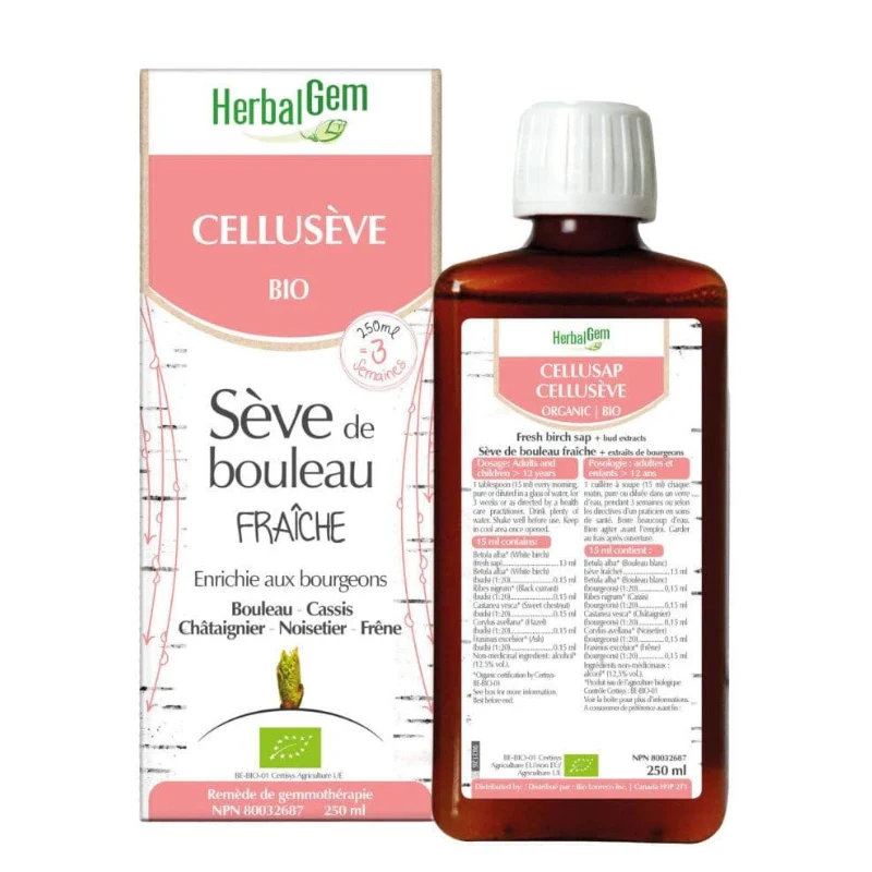 Cellusève Bio - Sève de bouleau fraîche