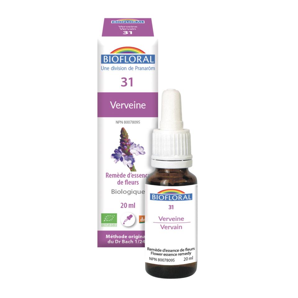 Vervaine (Vervain)